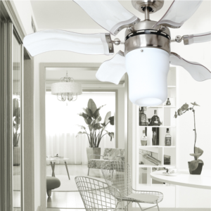 Emda .42IN Blomm Bch